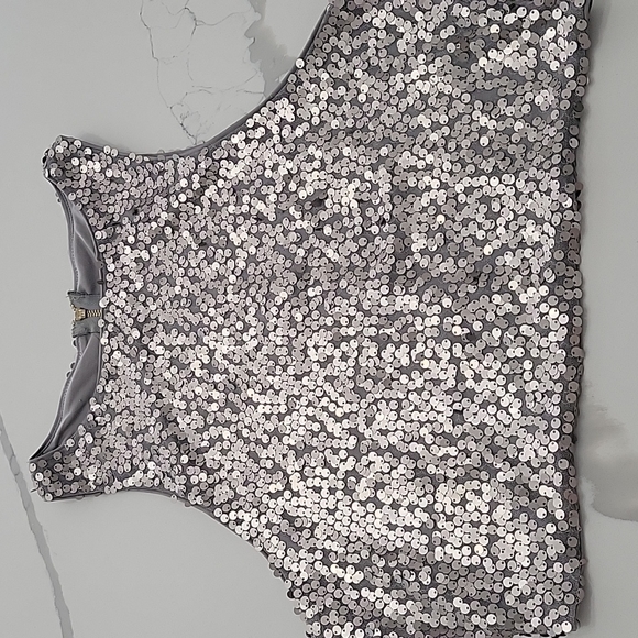 Express Tops - Express shimmery dressy crop top, EUC🎉🎊